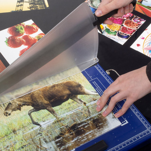 Stabilna podstawa i czytelne oznaczenia