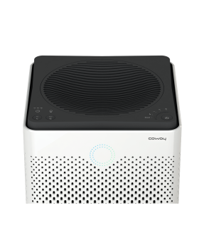 Coway Airmega 300 S