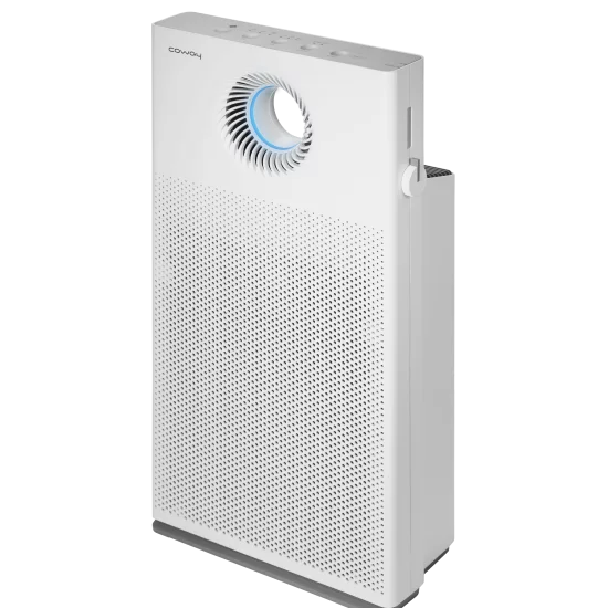 Coway Mini Storm